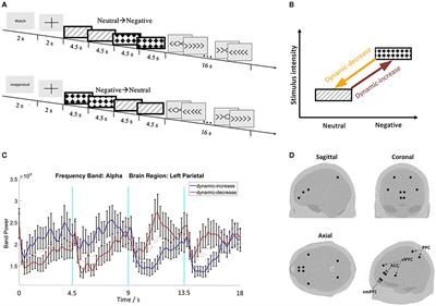 Neural Responses During Emotion Transitions and Emotion Regulation